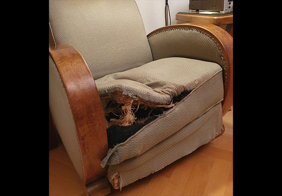 Paire de fauteuils club, En noyer - vue 4